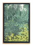 Jardin des plantes V vignette